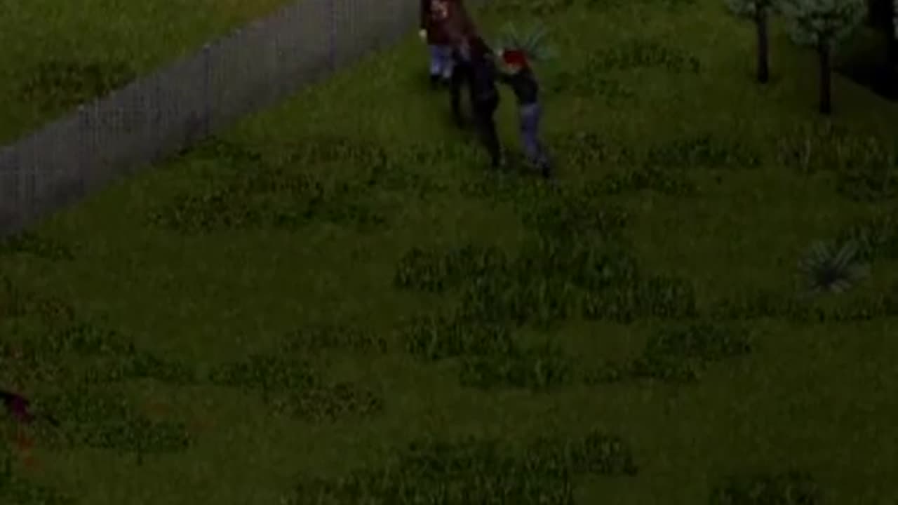 run nyan meow