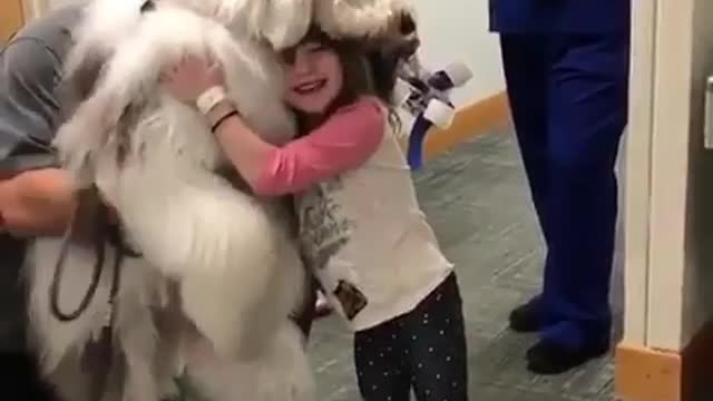 Cute dogs with small girls