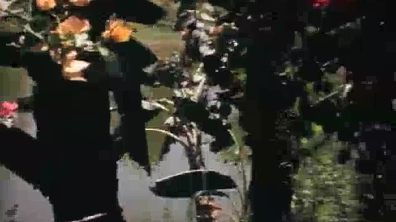 Prabhupada Darshan Part 13 - Mar-May 1975