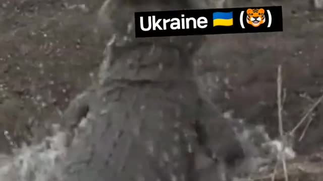 Russia Ukraine war latest update # funny viral video