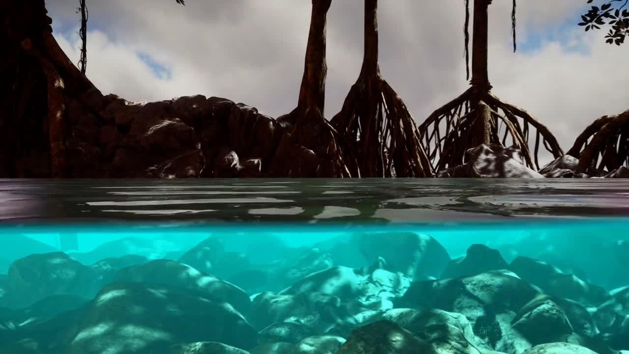 Above and below the sea surface near mangrove trees