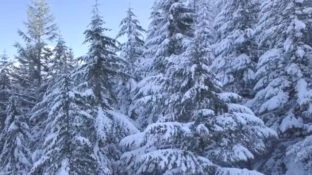 songs to relax, meditate and calm the mind
