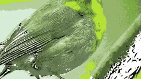 Drawing Birds with Digital Tools Easy Methods