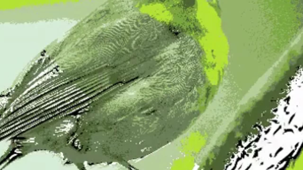 Drawing Birds with Digital Tools Easy Methods