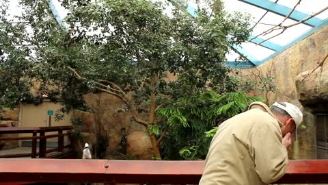 Small But Mighty Wild Bird Pecks Tourist In His Eyeball