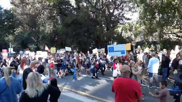 Brisbane, Australia - Freedom Rally (Crowd) 24/07/2021