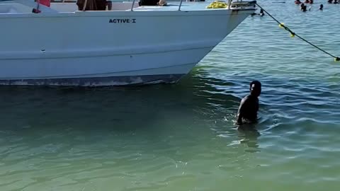 Vacation DR