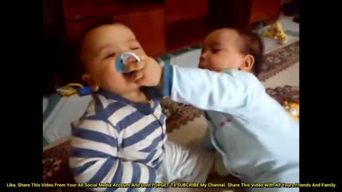 This Was Mine,Twin baby boys fight over pacifier
