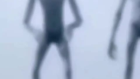 incredible what this person filmed