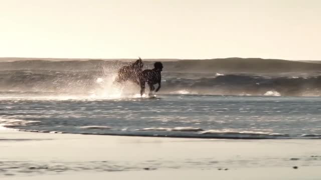 Three Friendship Brothers Running on the Beach
