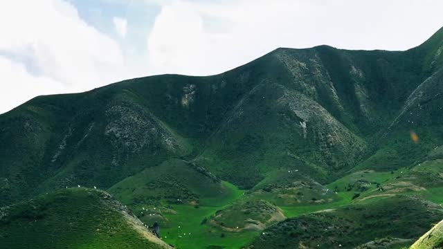 endless green mountains