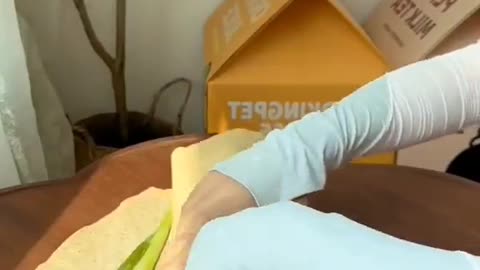 Cat funny video