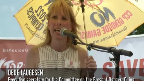 Dede Laugesen: "Stop the Genocide Games" rally in DC