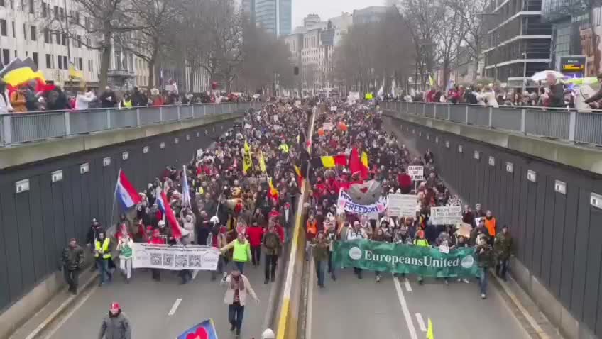 Protesting for Freedom in Brussels