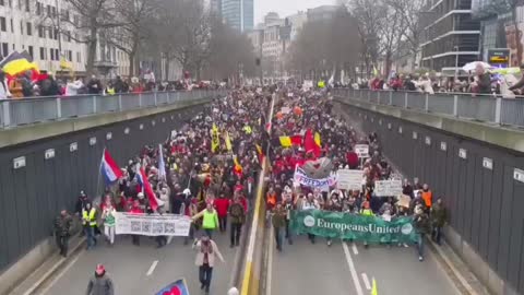 Protesting for Freedom in Brussels