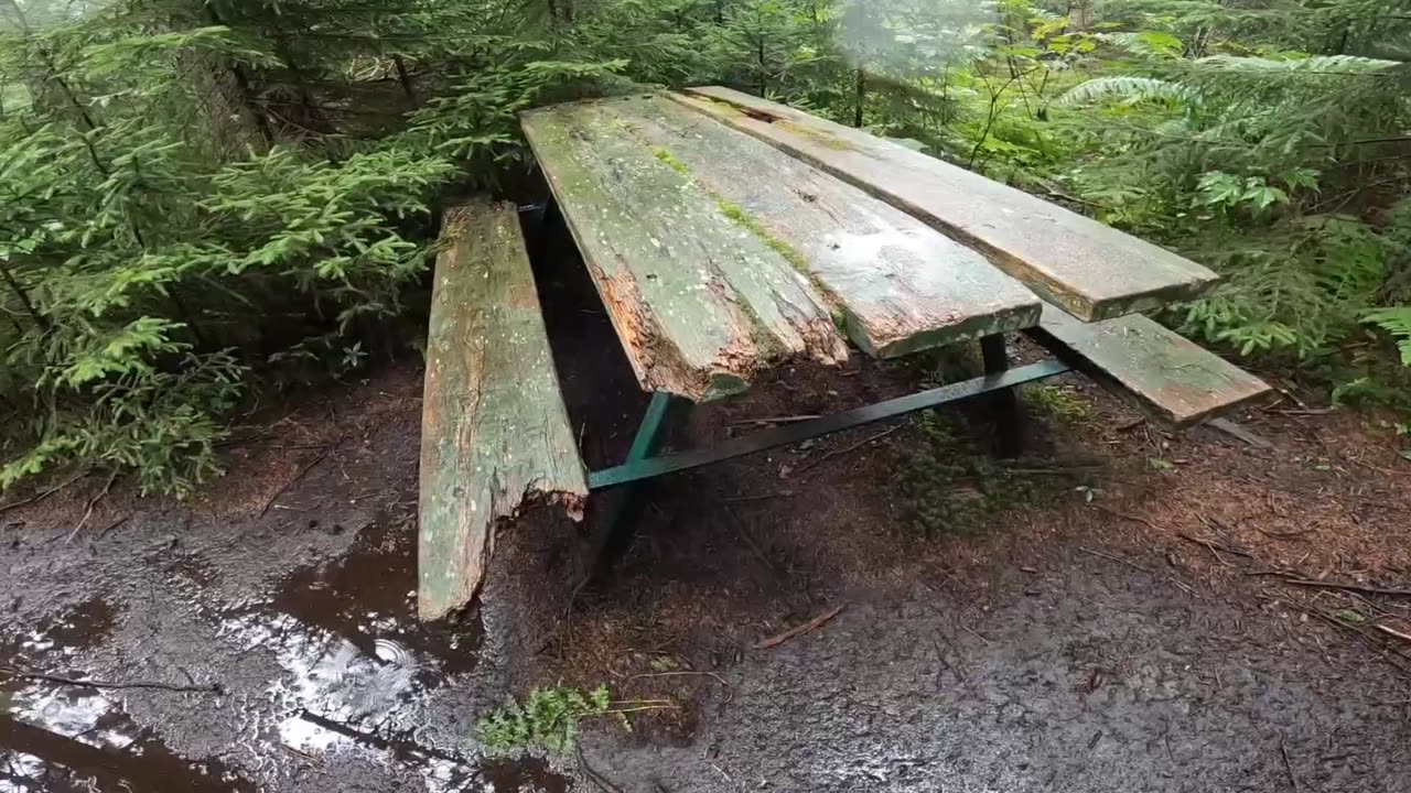 Picnic Table