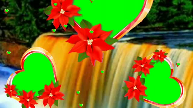 United state in video green effect