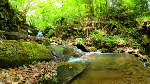 Relaxing sound of water accompanied by wonderful nature