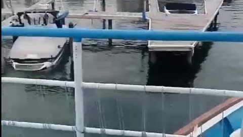 Visit to usa