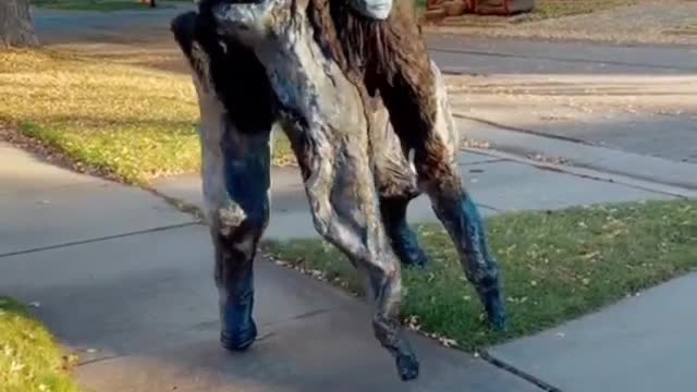 Next Level Costume