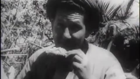 New Films of US Victory in the Marshall Islands - 1944