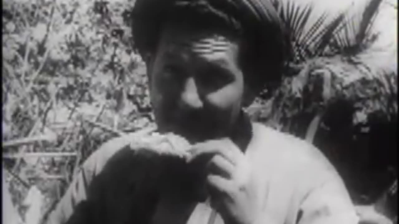 New Films of US Victory in the Marshall Islands - 1944