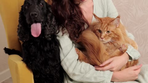 A Woman Holding a Cat While Sitting Beside a Dog