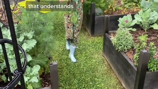 Food Sovereignty