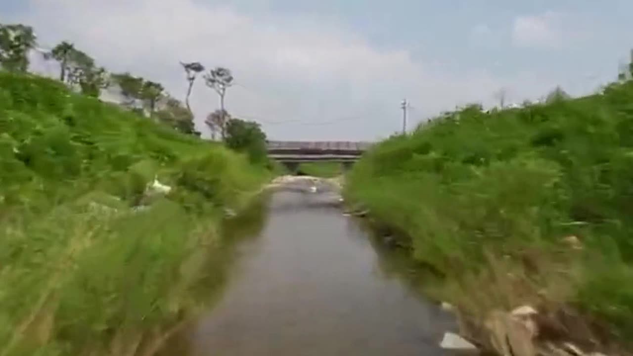 BEAUTIFUL DRONE SHORT