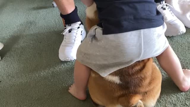 Dog Has Had Enough of the Hug