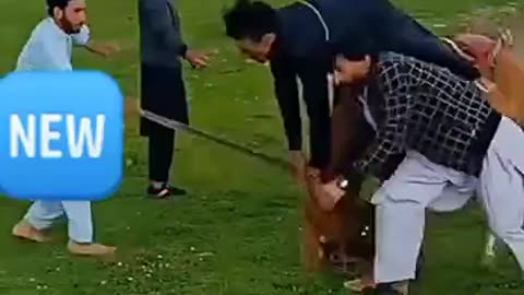 Riding skill of a pathan