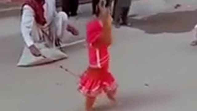 Funny monkey video