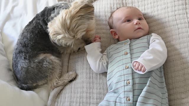 Dog Sitting Beside a cute Baby