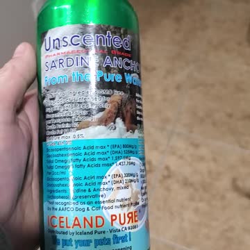 Gross start to the day