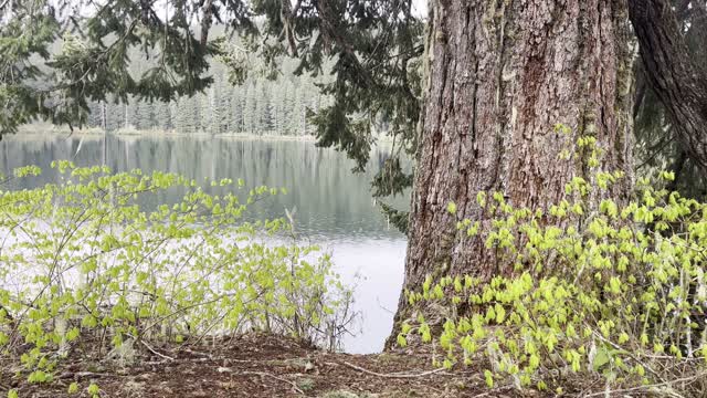 Traversing the Lava Field – Clear Lake Loop – Central Oregon – 4K