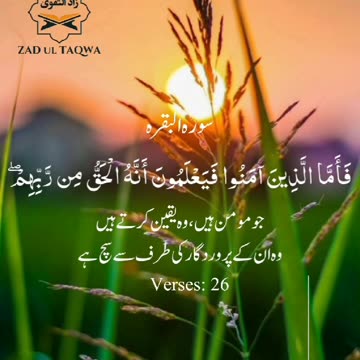 تلاوتِ قرآن🌼🧡