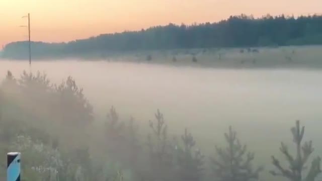 River fog
