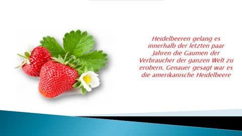 Himbeeren - beeren - Power Fruits