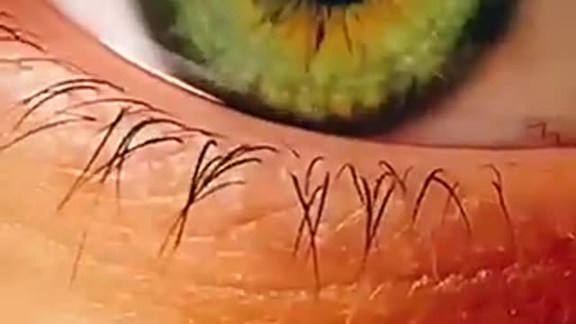 How rare is your eye colors