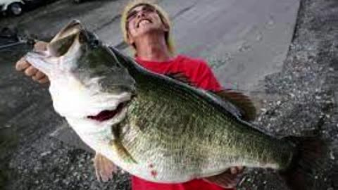 23 Interesting Facts About Bass You May Or May Not Know
