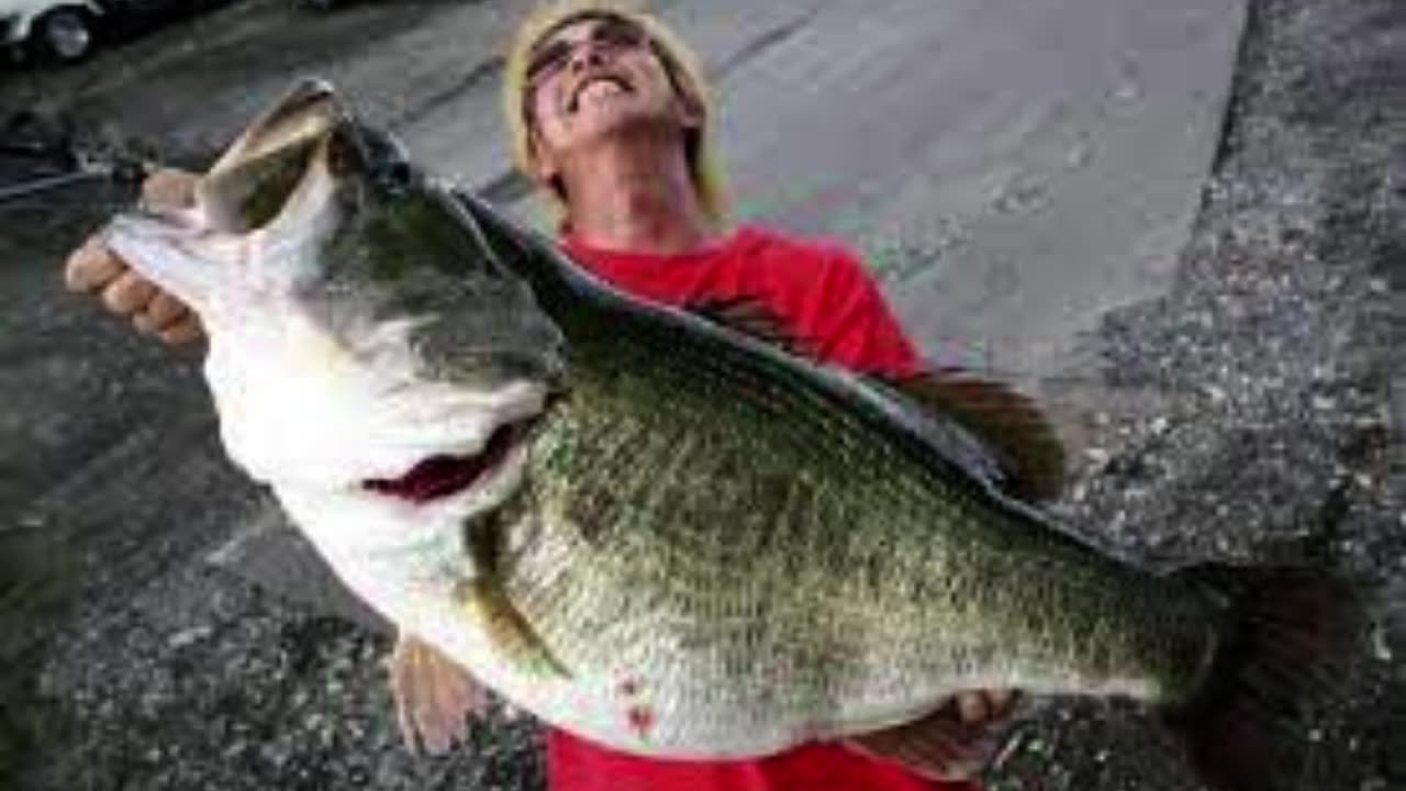 23 Interesting Facts About Bass You May Or May Not Know