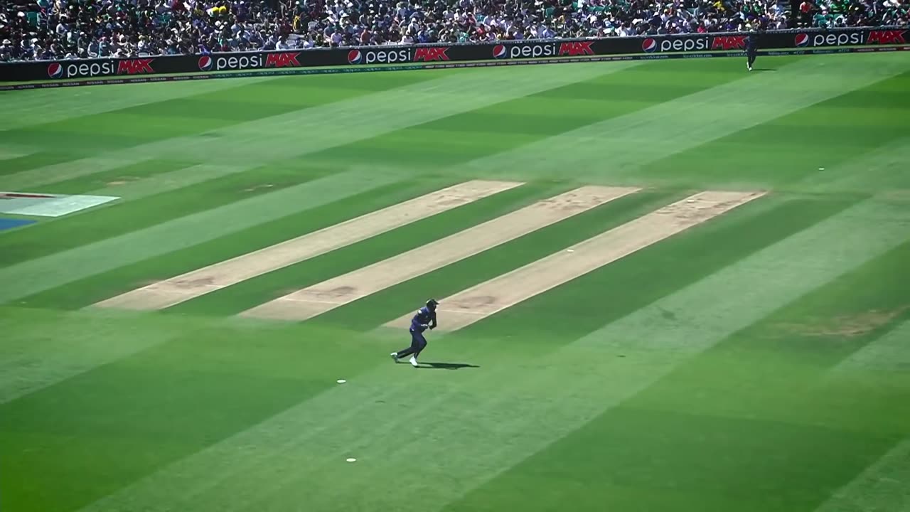 _Oh, brilliant!_ _ A direct-hit Run out in Cricket History compilation