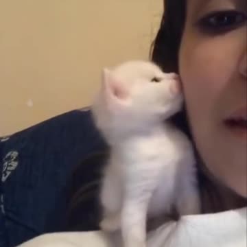 My kitty kissed me! thanks for watching!