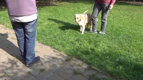 TGI Block 5: Lissy und Sandy