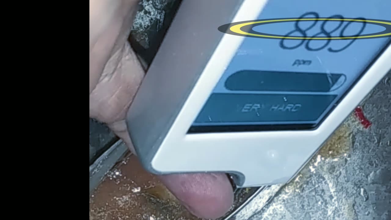 Instrumented Review - Sea Chef SeaChef Sardines from Dollarama