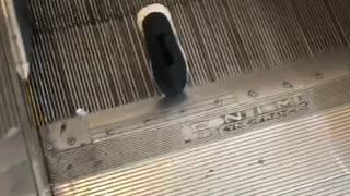 Woman gets her old pair of shoes stuck on an escalator after buying new pairs from nike store