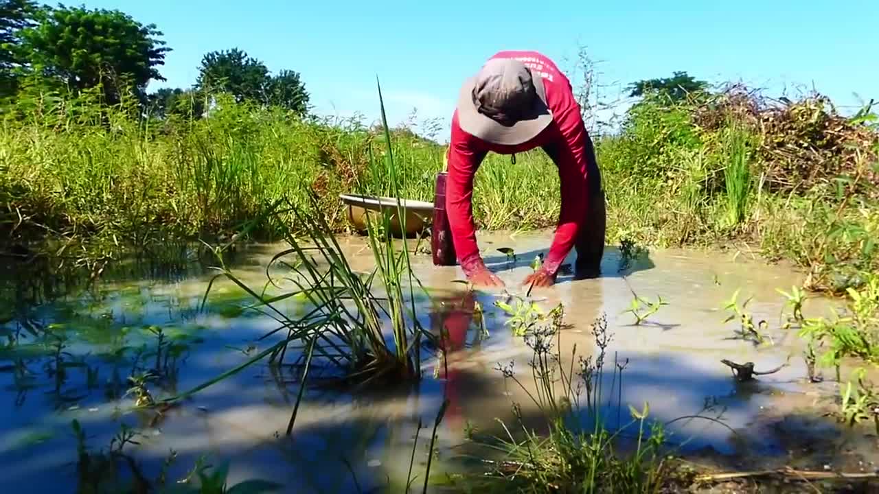 amazing fishing! a lots of fish in my special place this time catch by a fisherman skill by hand-16