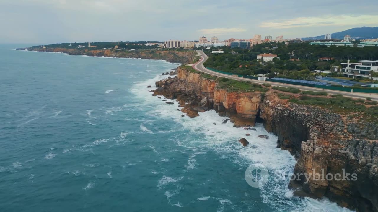 Shark Week Special: A Weeklong Dive into the World of Sharks