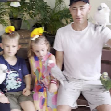 The B is for Birds- at KL Bird Park