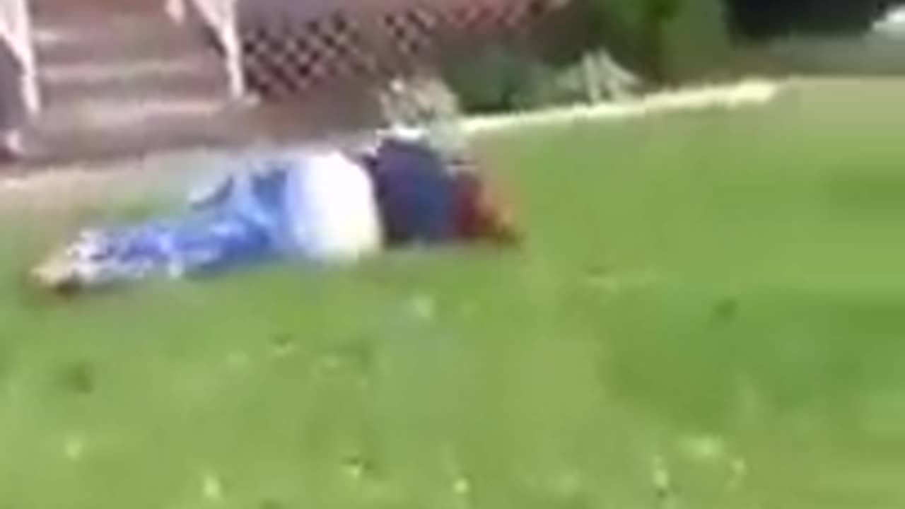 Fat Lady Learns About Gravity